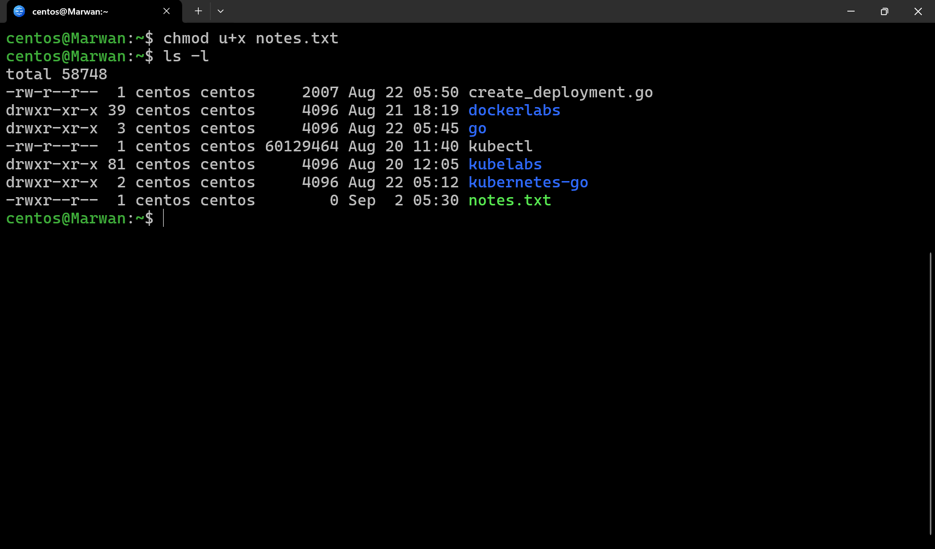Terminal showing chmod u+x making notes.txt executable, confirmed by ls -l with green filename