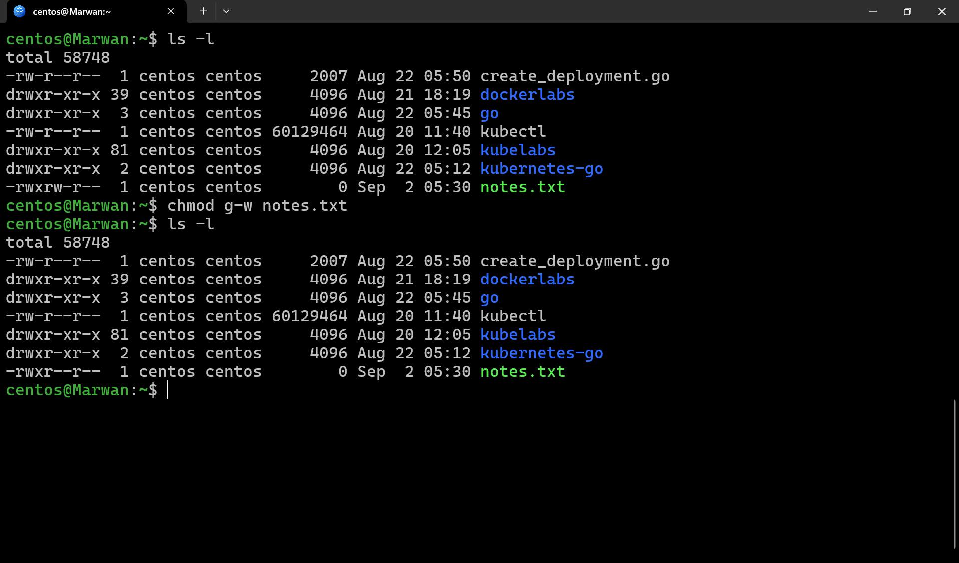 Terminal showing chmod g-w removing group write permission, confirmed by before-and-after ls -l
