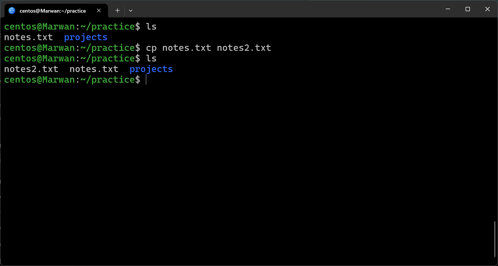 Terminal showing cp notes.txt to notes2.txt with ls confirming both files