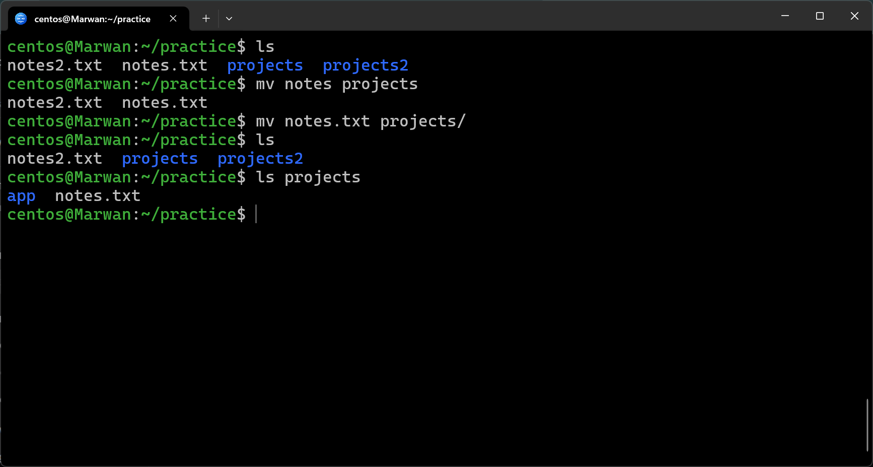Terminal showing mv notes.txt into projects and ls confirming the move