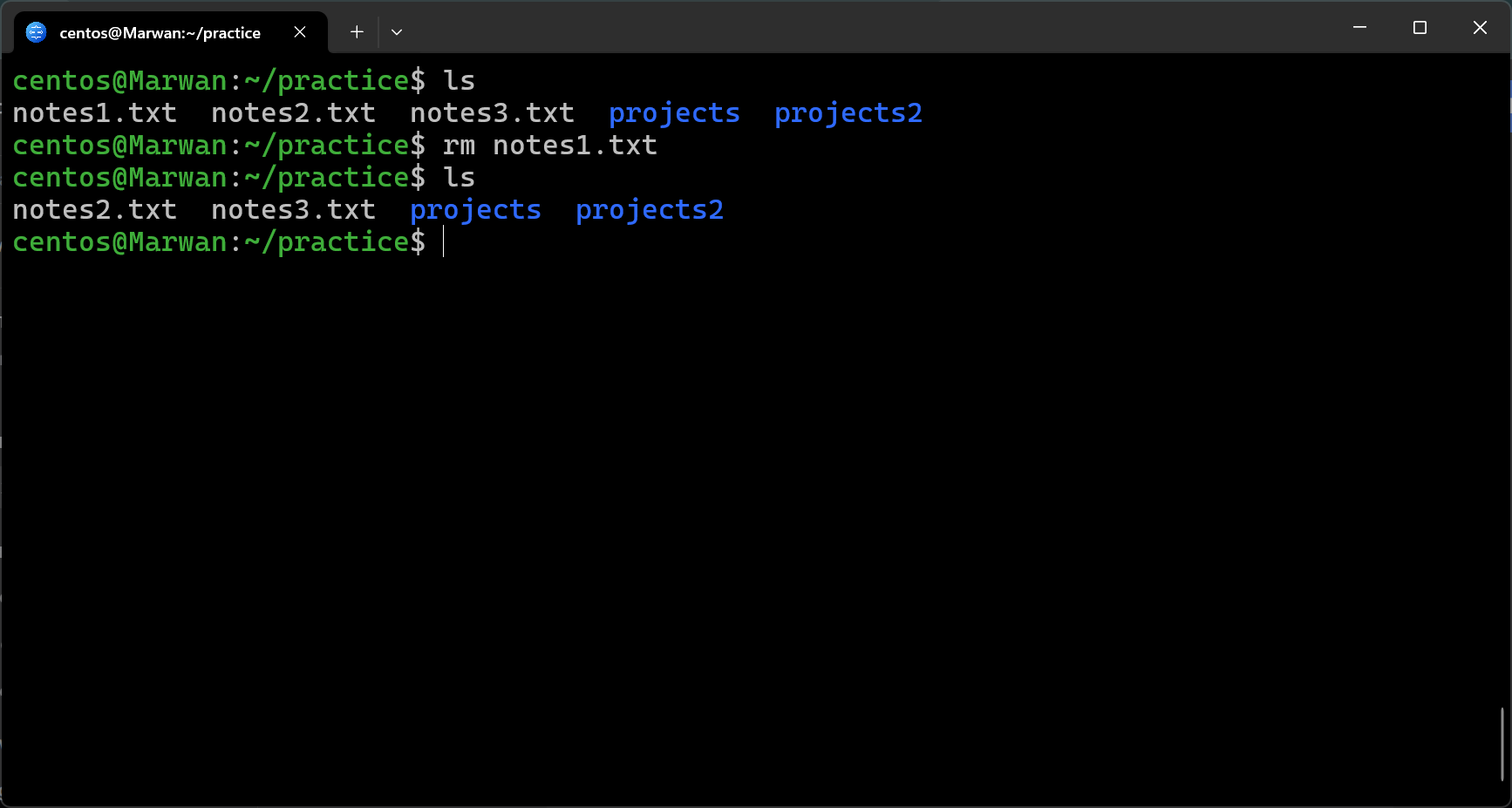 Terminal showing deletion of notes.txt with ls output before and after