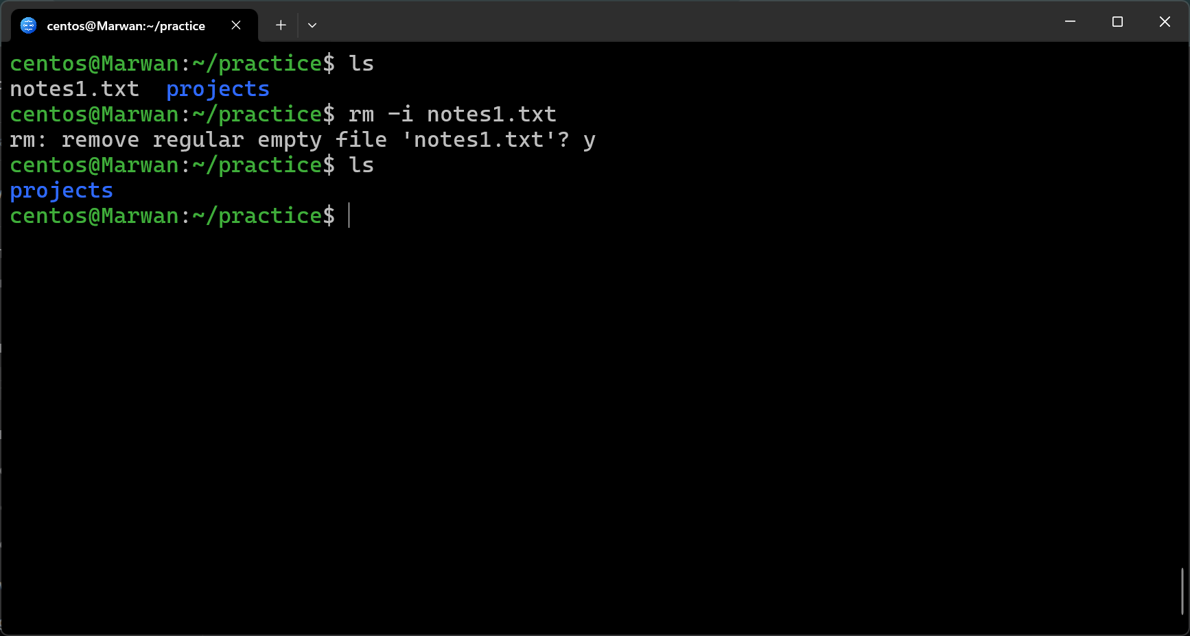 Terminal showing interactive delete prompt for notes1.txt answered with y