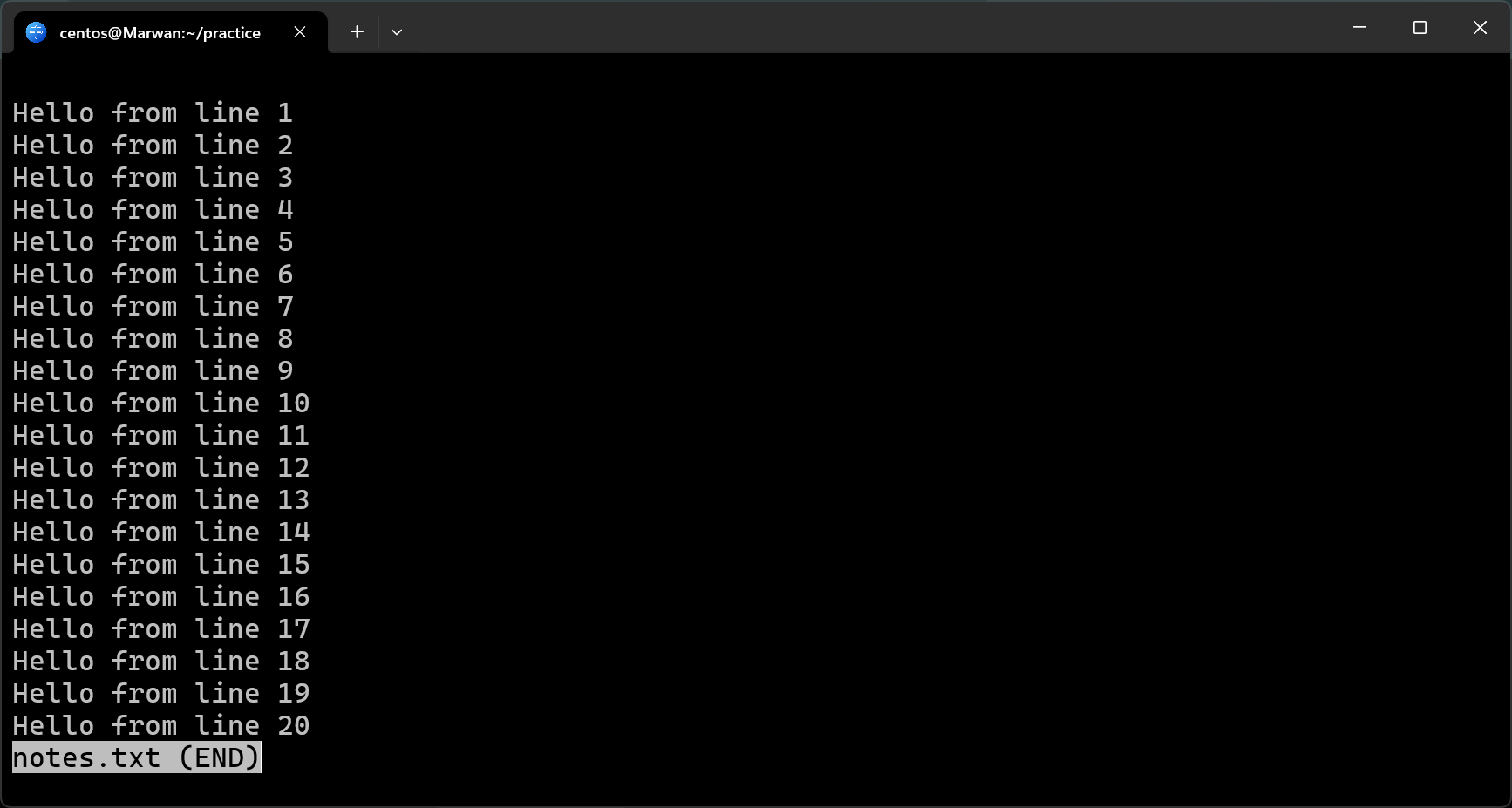 Terminal showing notes.txt open in less pager with END indicator