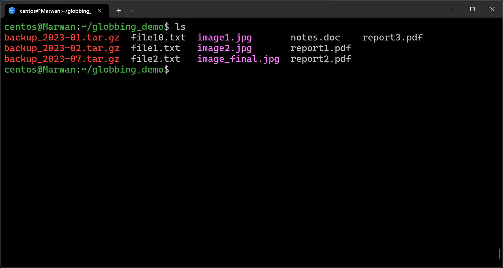 Terminal listing globbing demo files including backups, text, images, reports