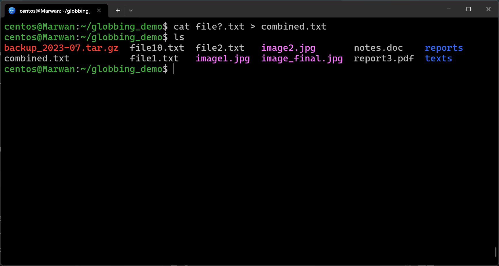 Terminal concatenating single-character wildcard files into combined.txt