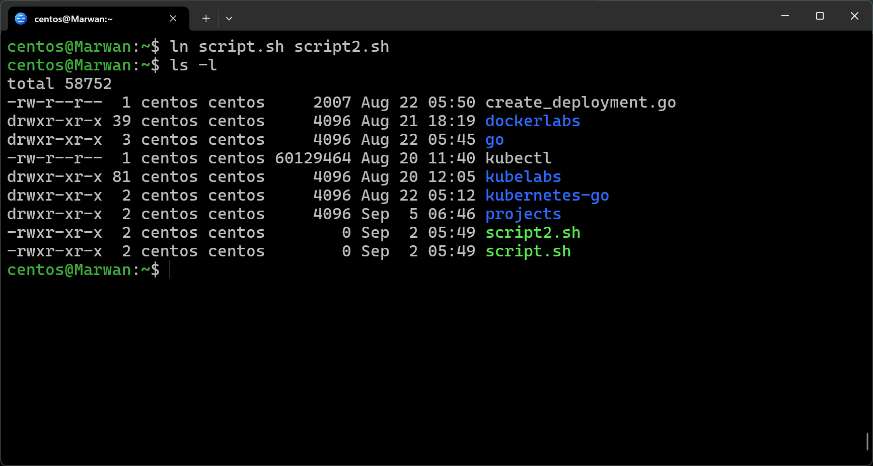 Terminal creating hard link with ls -l showing link count of 2