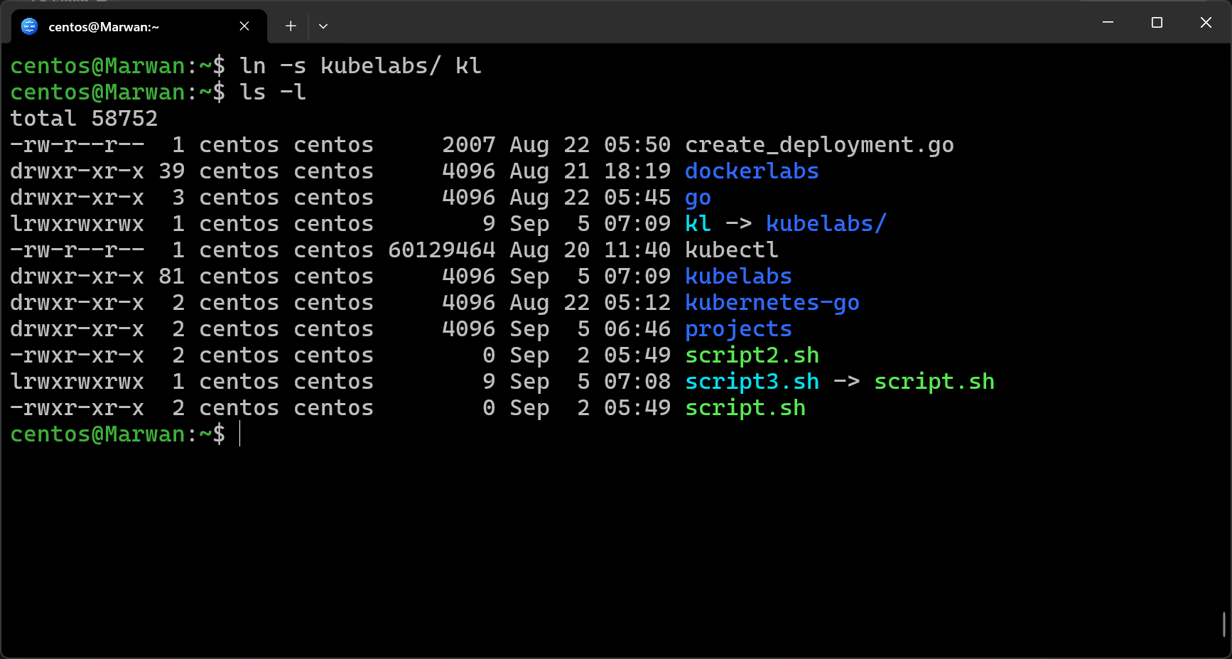 Terminal creating directory symlink with kl pointing to kubelabs