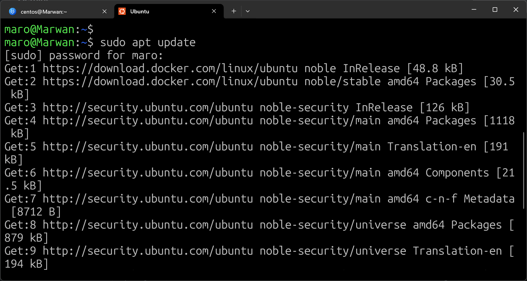 Ubuntu terminal running sudo apt update, fetching package lists from Ubuntu repositories