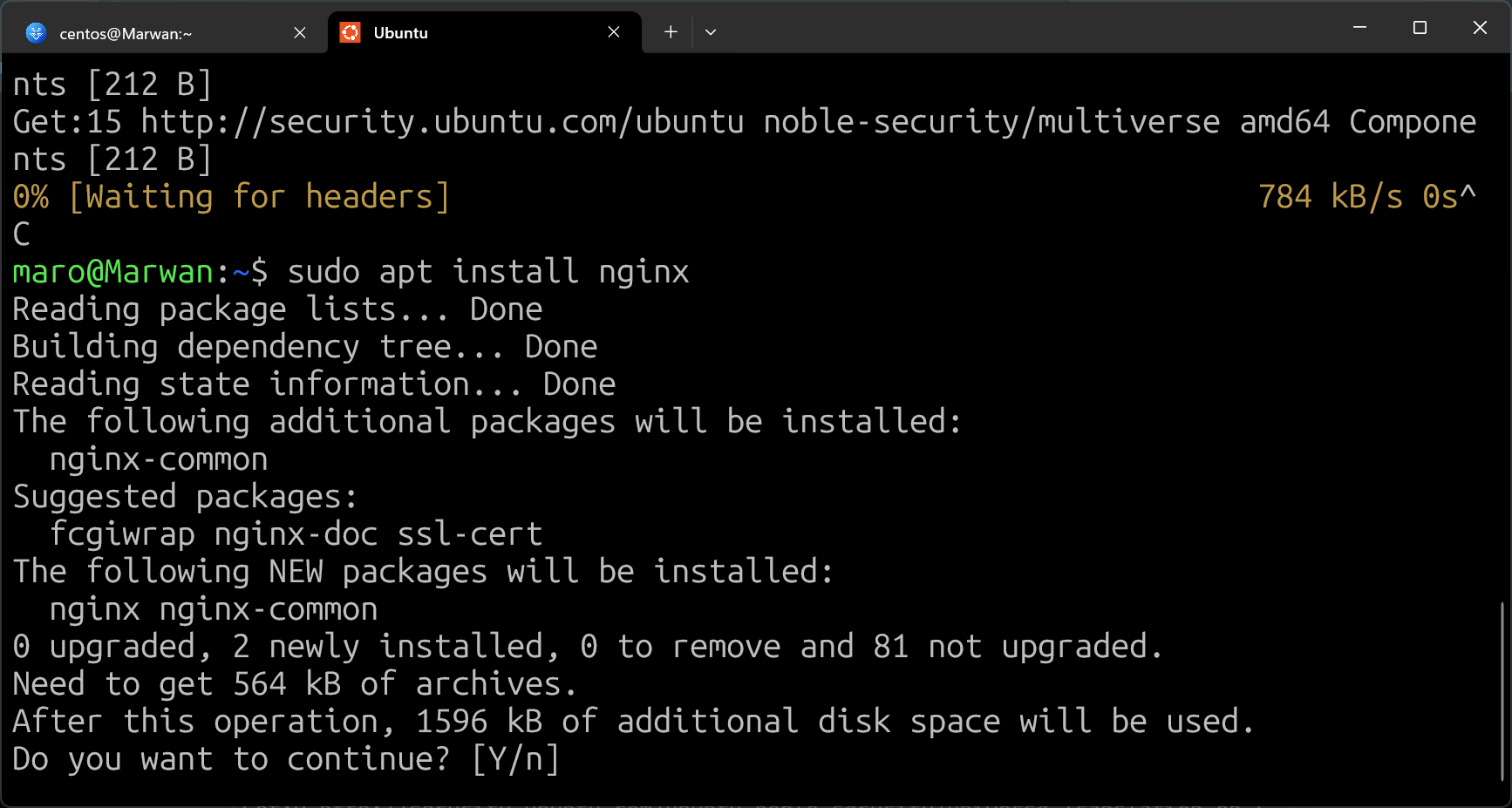 Terminal showing sudo apt install nginx listing packages to install and asking to continue