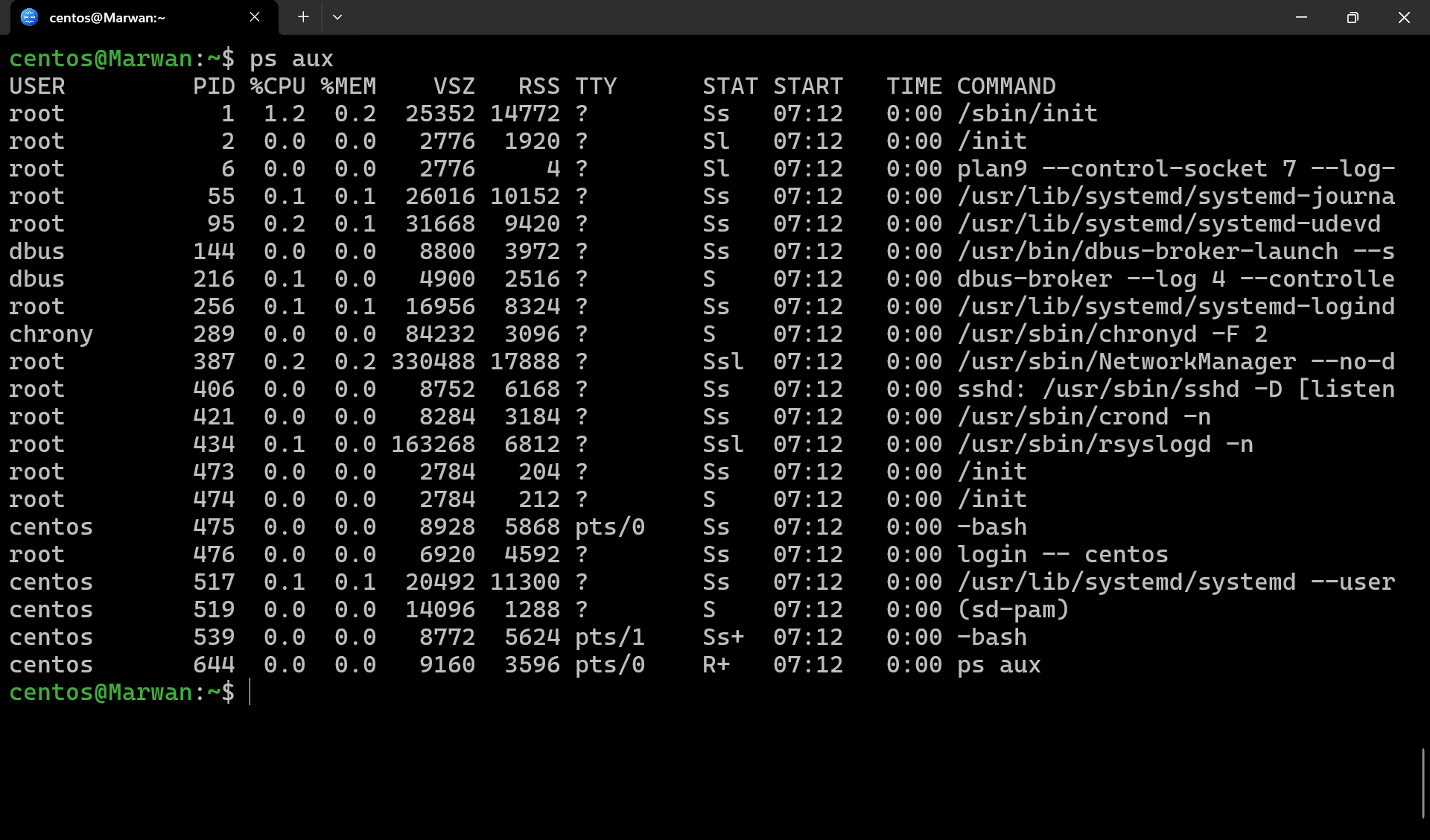 Terminal output of ps aux listing running processes with PID, CPU, memory, and command columns