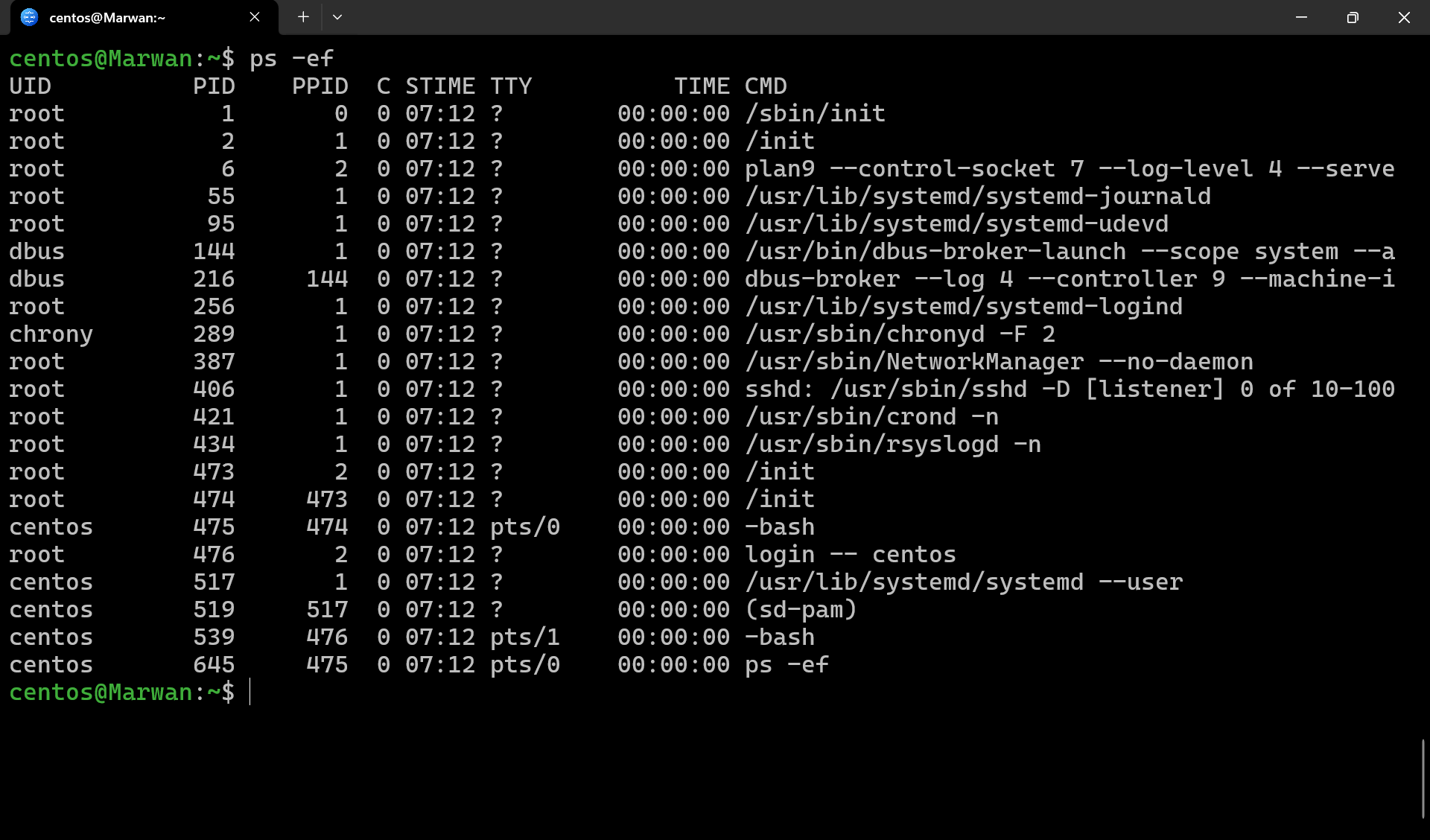 Terminal output of ps -ef listing processes with UID, PID, parent PID, and full command lines