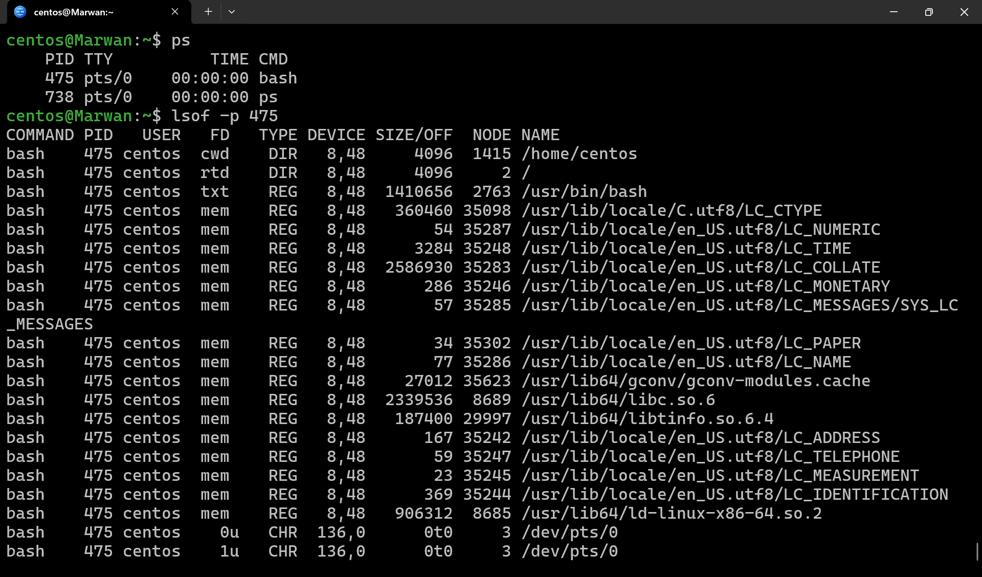 Terminal showing lsof output listing open files, libraries, and terminals for a bash process