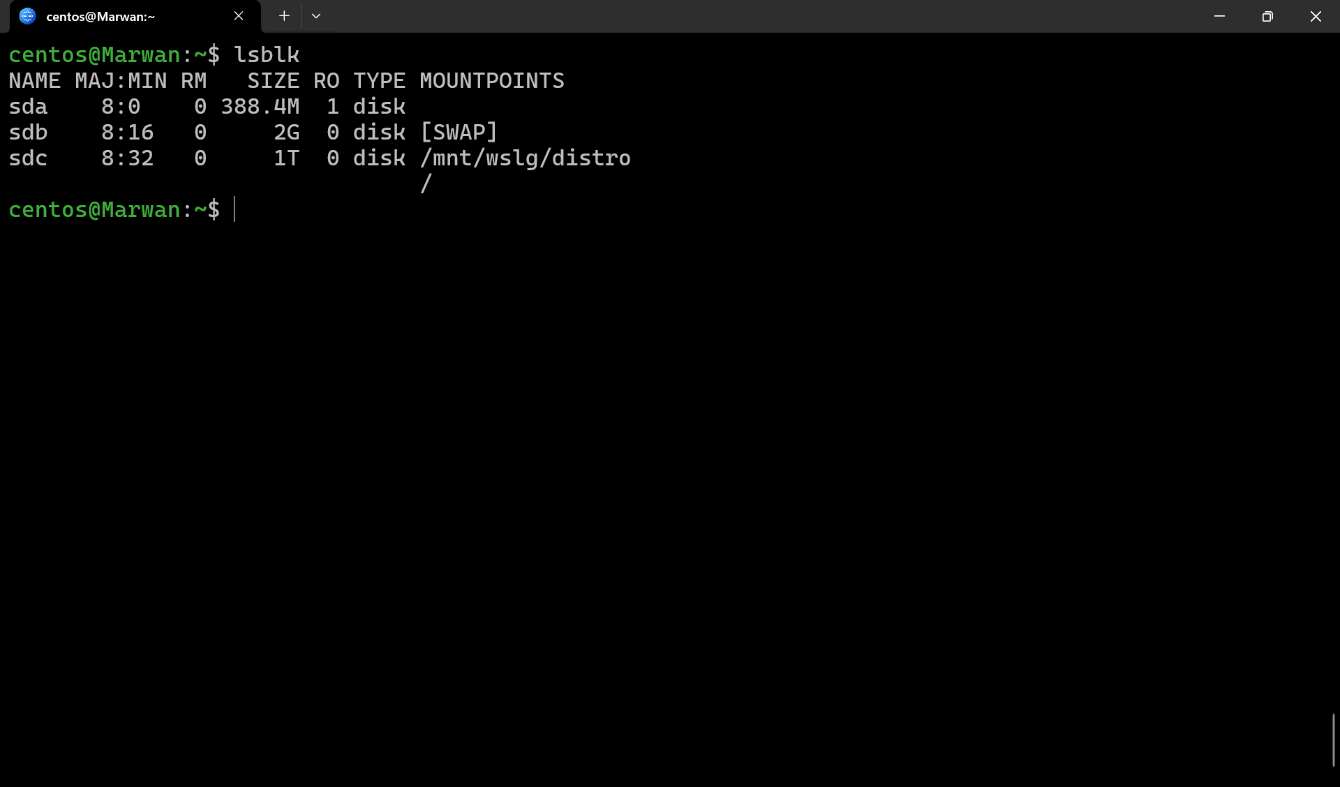 Terminal showing lsblk listing disks sda, sdb, and sdc with sizes