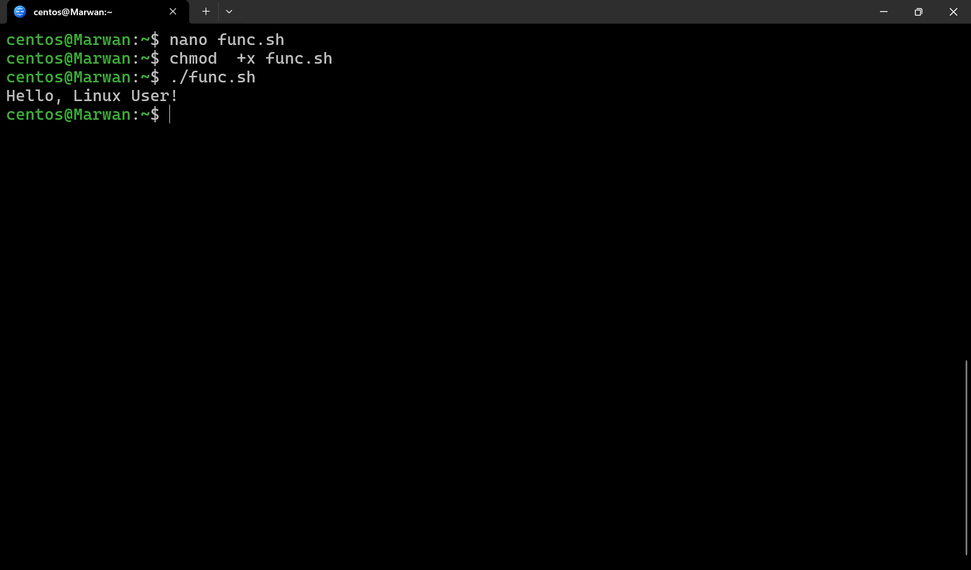 Terminal running function script and printing Hello, Linux User!