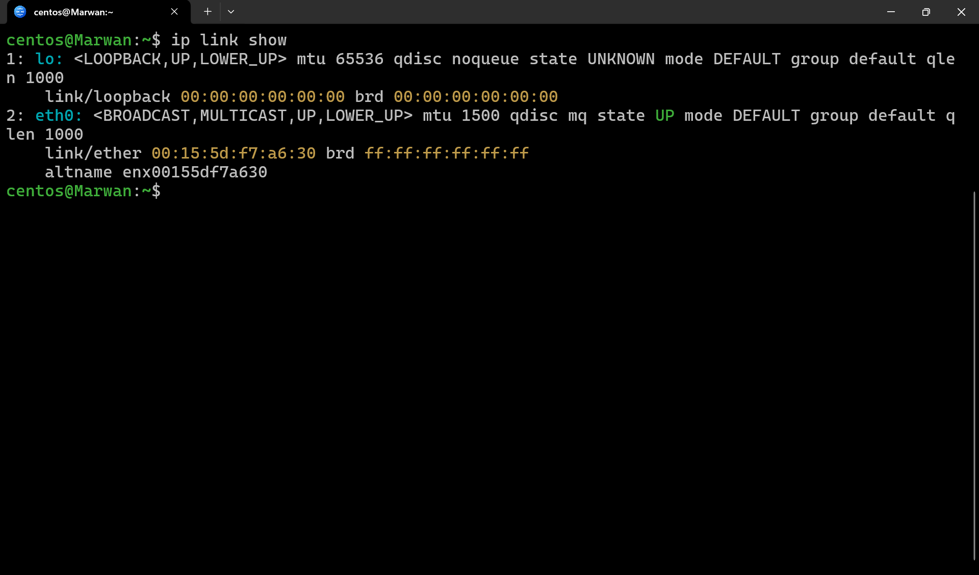Terminal output of ip link show listing loopback and eth0 interfaces