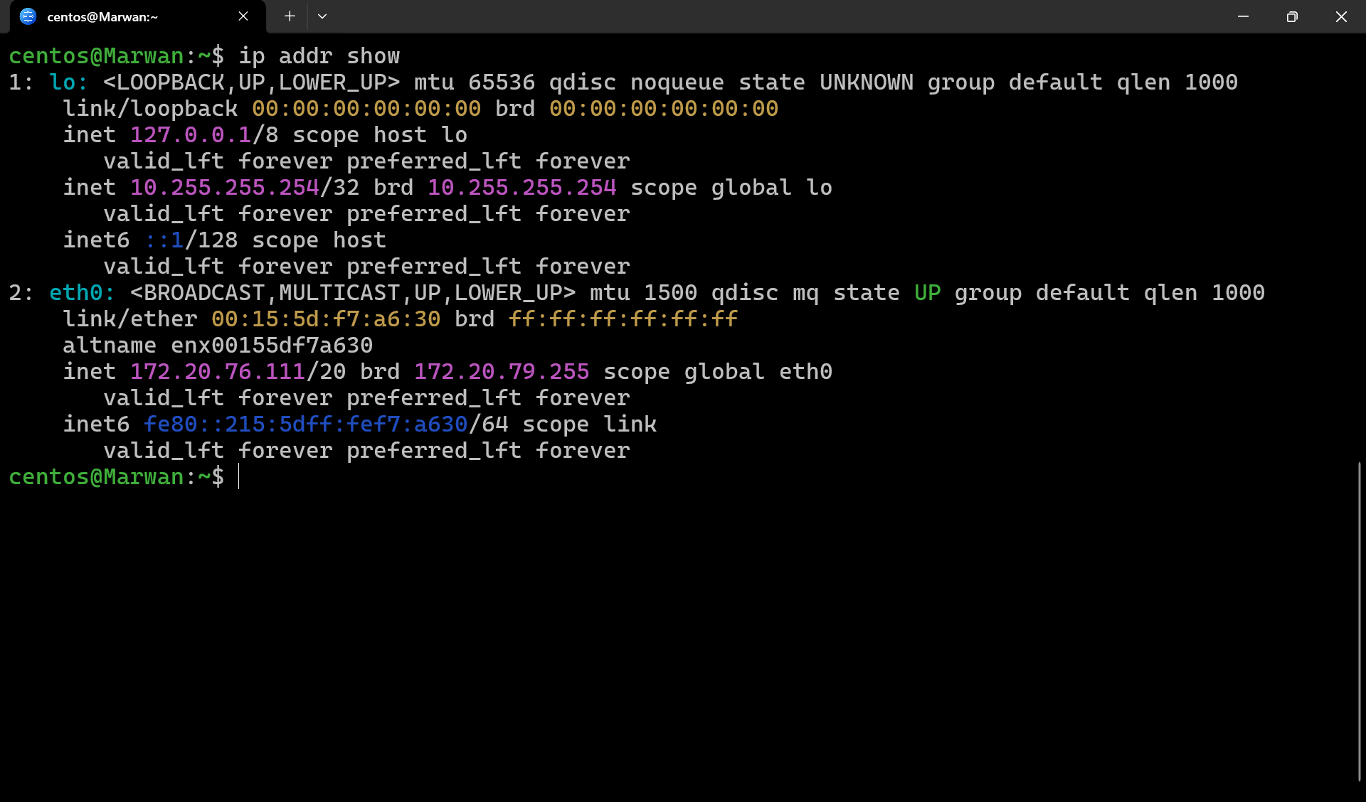 Terminal output of ip addr show with loopback and eth0 IP addresses