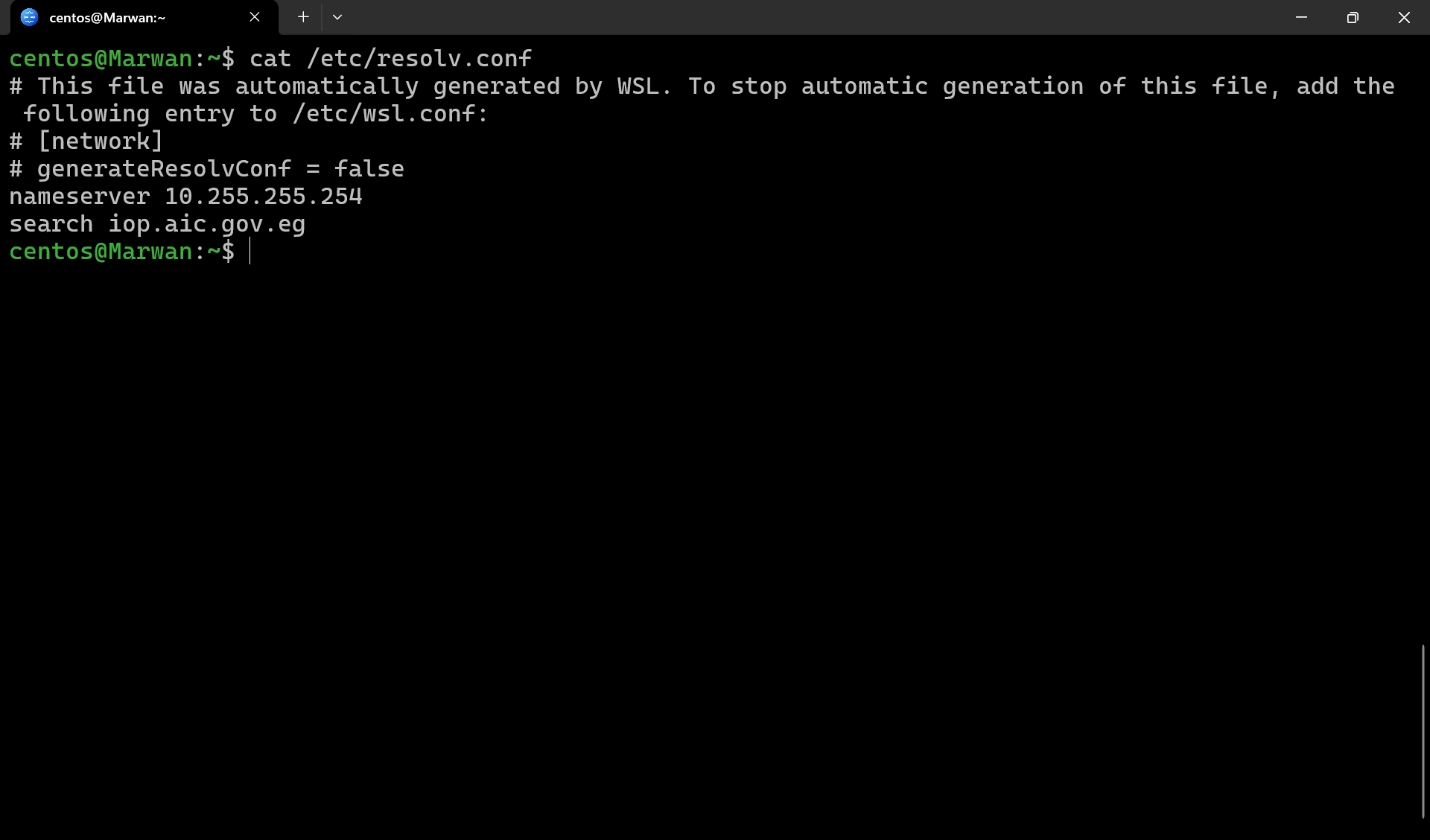 Terminal showing resolv.conf contents with nameserver and search domain