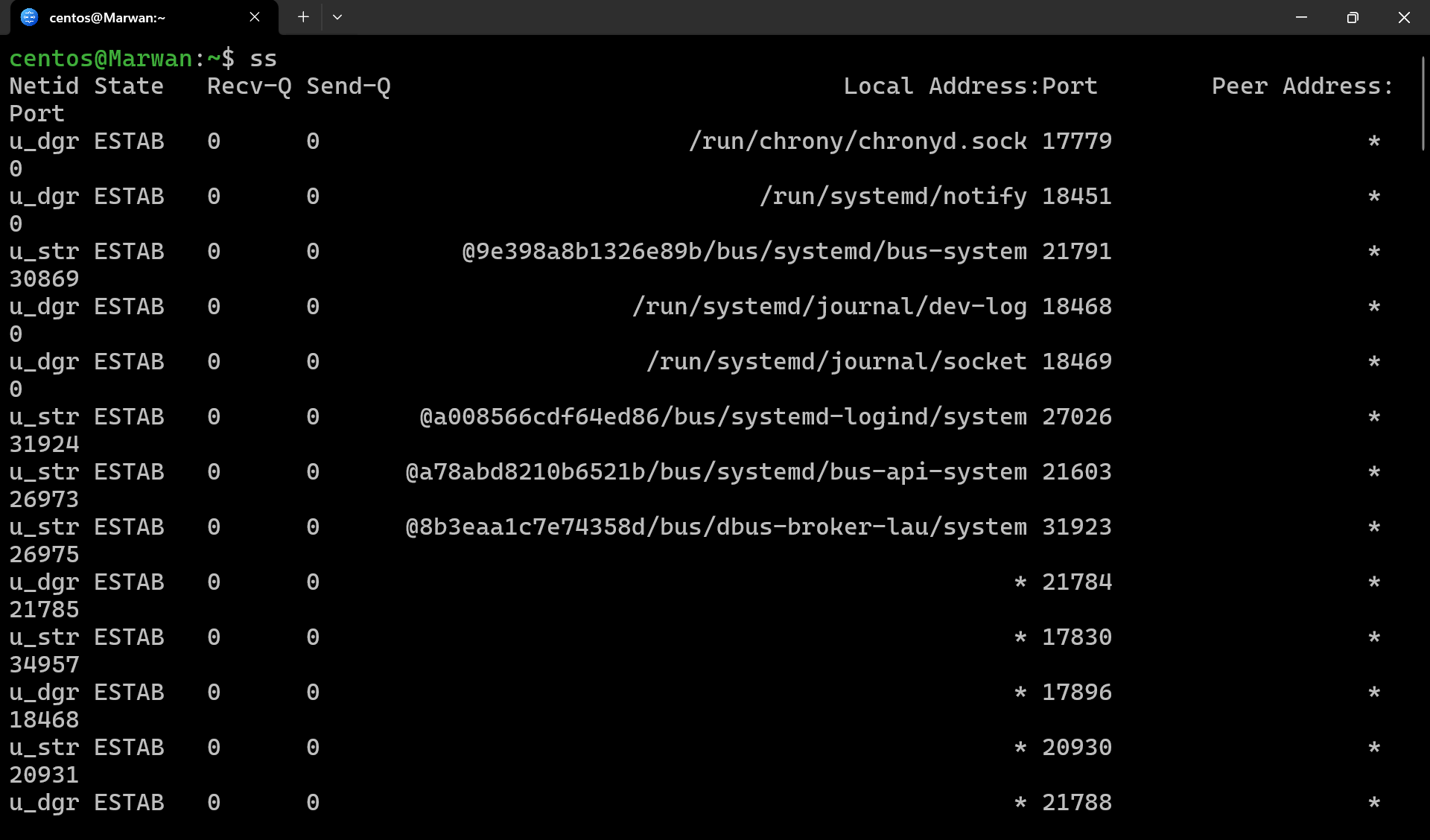 Terminal output of ss listing established system sockets and addresses